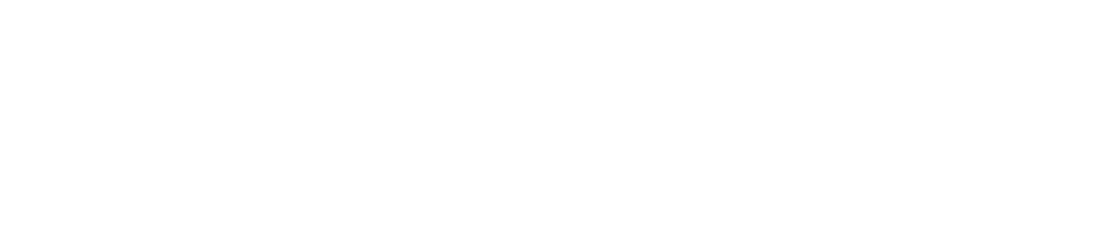 Grupo Pioneros